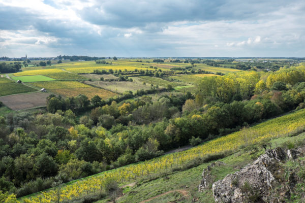 Vue du domaine Belargus