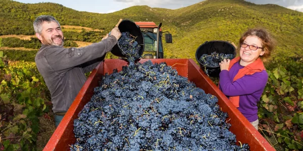 Domaine Pradels Quartironi