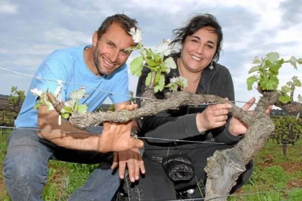 Domaine en agriculture biologique Roquemale