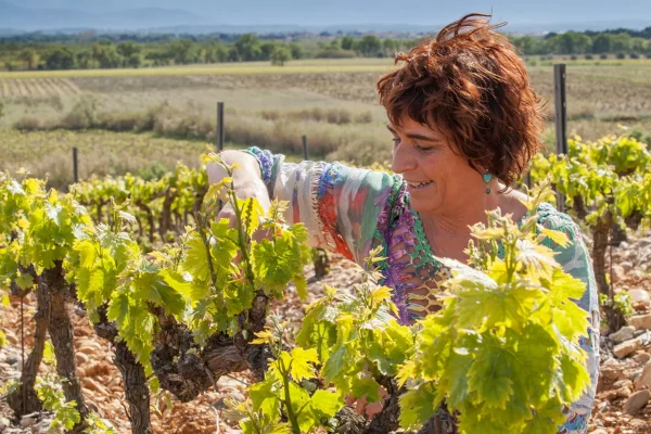 Domaine bio Château de Rey