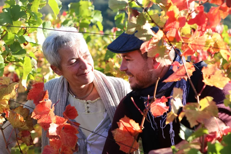 Domaine Fahrer et Fils