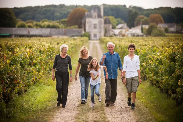 Famille du Château de Chaintres