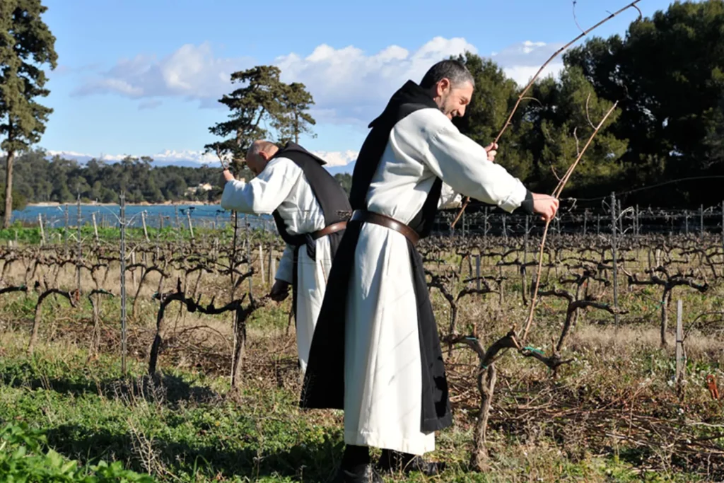 Frères du domaine bio de l'Abbaye de Lérins