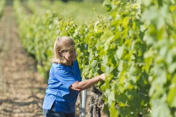Régine du Château la Tour de l'Evêque
