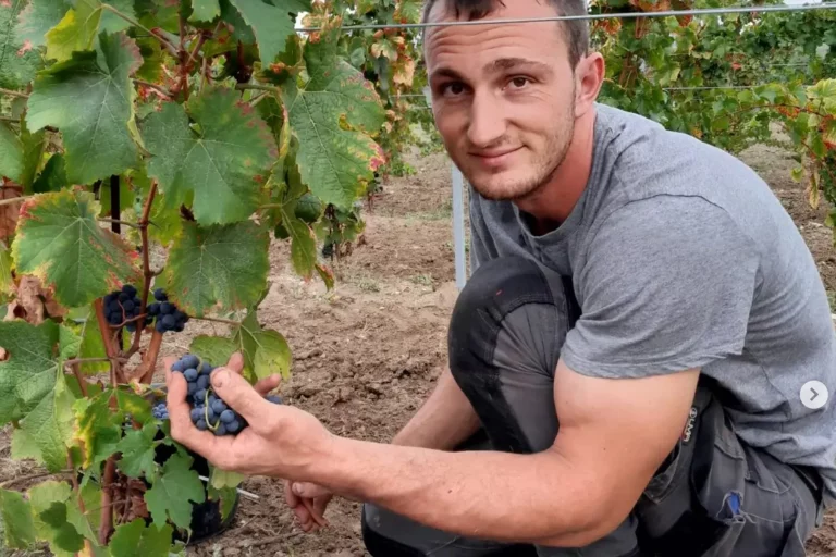 Domaine Jean Wambergue