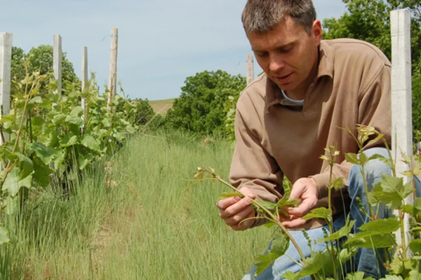 Vigneron du domaine de la Combe au Loup