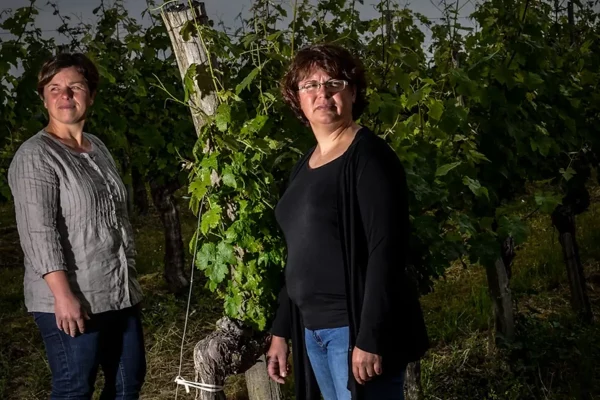 Vigneronnes du domaine Sergent