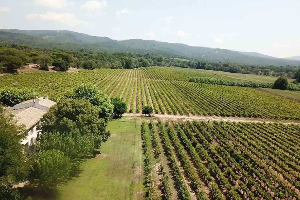 Vignoble Bastide Castel d'Aille