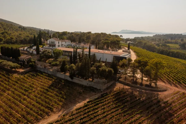 Vignoble du domaine de la Navicelle