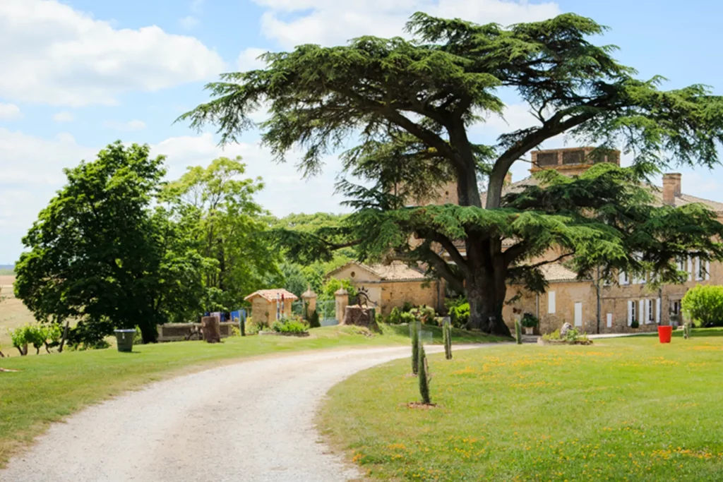 Jardins du Château de Terride