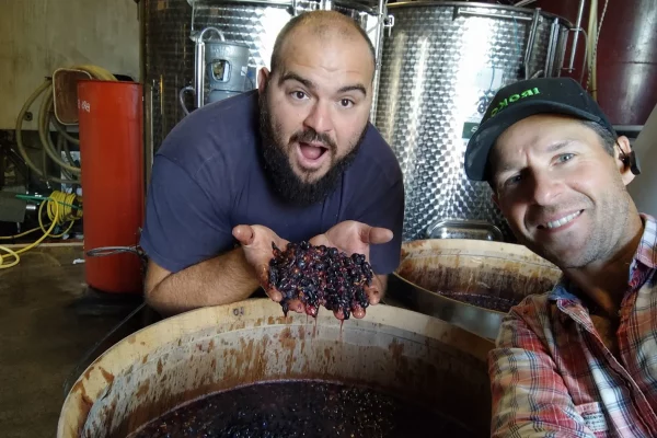 David et Matthieu avec des raisins fermentés, illustrant le processus de vinification artisanale au domaine