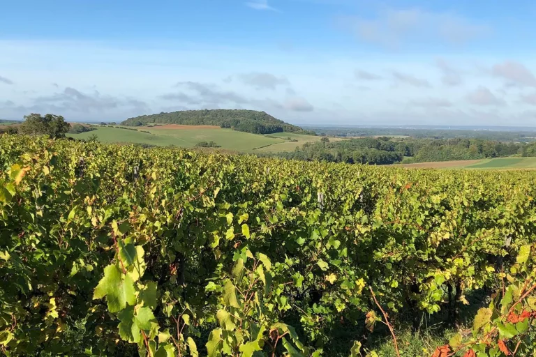 Domaine de la Bougarde