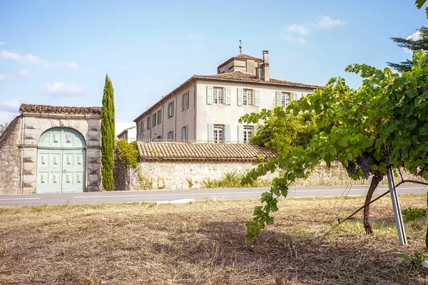 Vue extérieure du Château avec une façade beige, des volets verts, et une entrée voûtée. À droite, un pied de vigne.