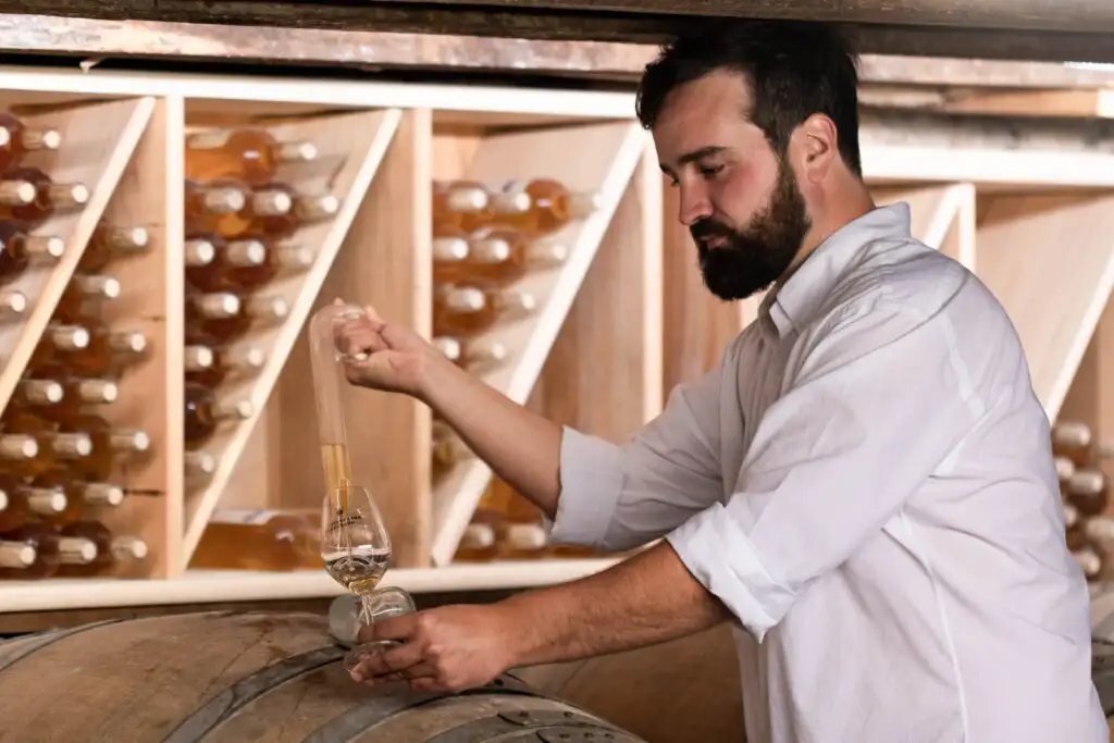 D&eacute;gustation au Domaine Nomboly Traydou