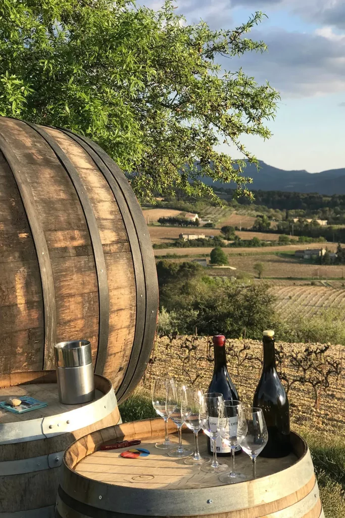 Dégustation de vin avec des verres de vin et des bouteilles posés sur des tonneaux en bois, vue sur les vignes en arrière-plan