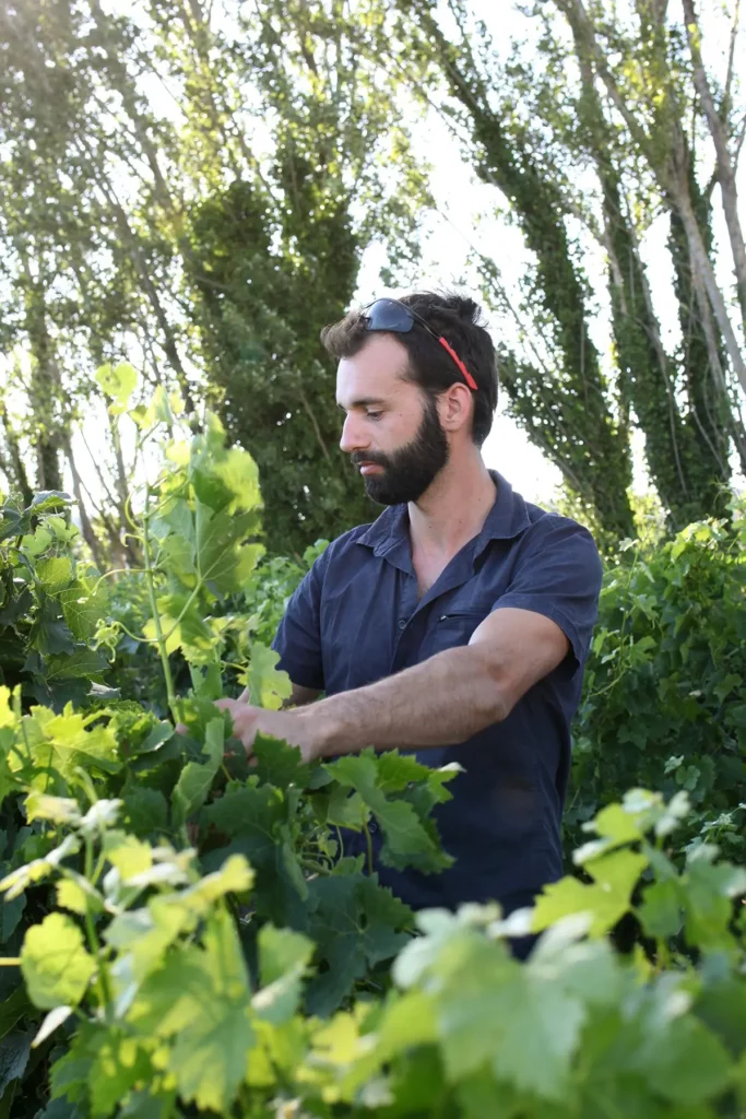 Florian, concentré, travaille parmi les vignes verdoyantes, entouré par la nature luxuriante du vignoble