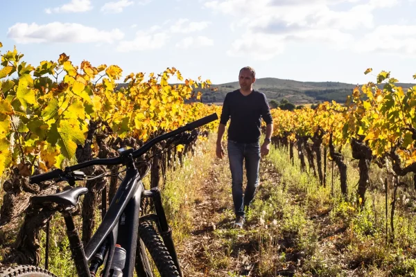 Vigneron du domaine marchant entre les rangs de vignes aux feuilles dorées, avec un vélo posé à proximité, par une journée ensoleillée