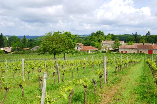 Château les Mangons