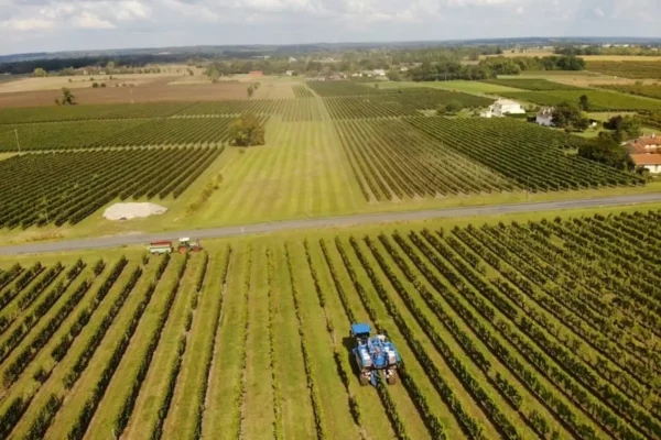 Le Domaine des Frétillères