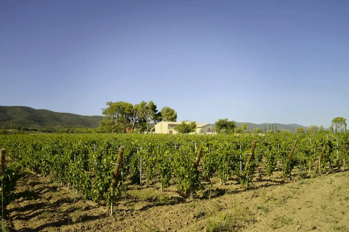 Domaine Mas Lauris