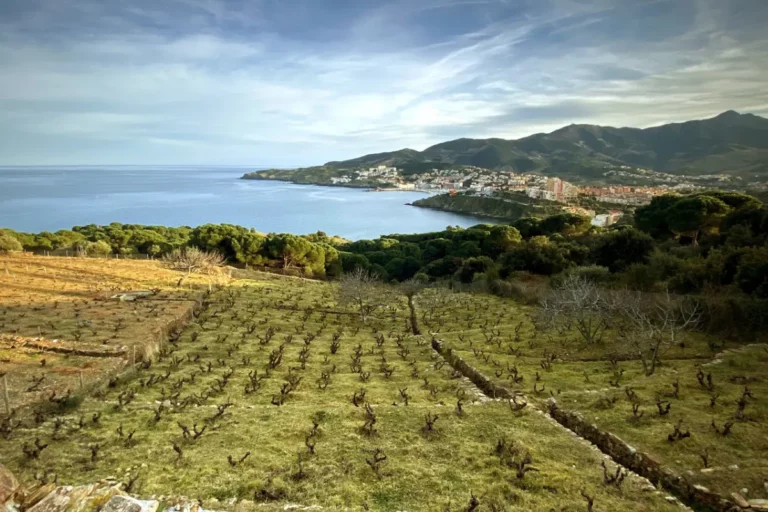 Domaine du Traginer