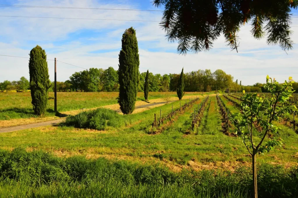 Parcelle de l'Enclos des Songes