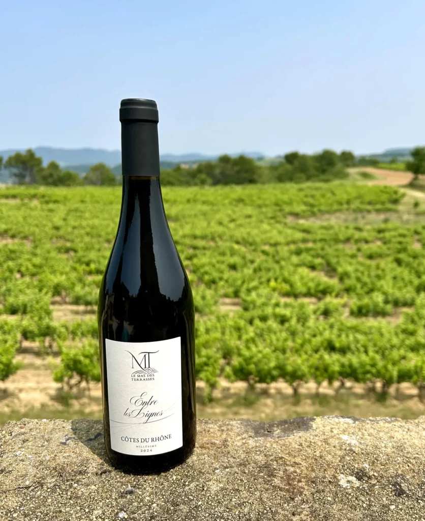 La cuvée "Entre les lignes" du Mas des Terrasses