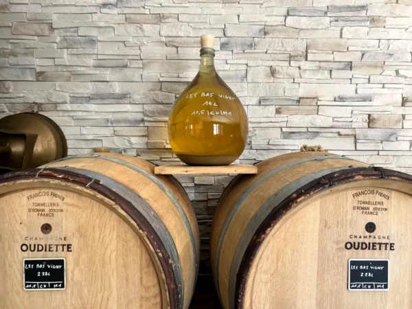 Vinification du Champagne Oudiette