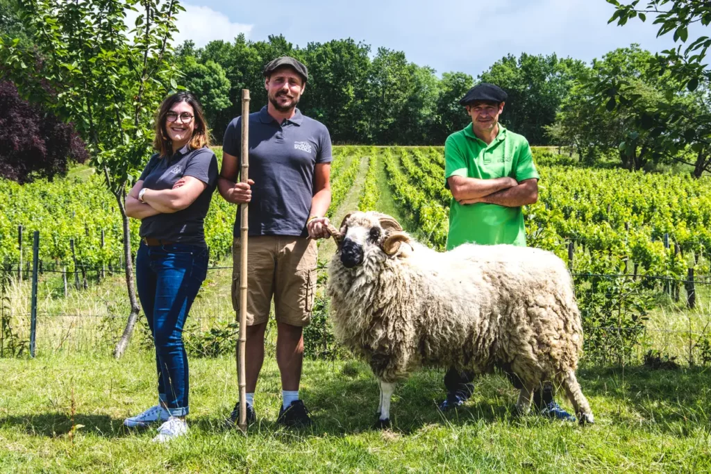 L'&eacute;quipe du Ch&acirc;teau Franc Baudron dans les vignes