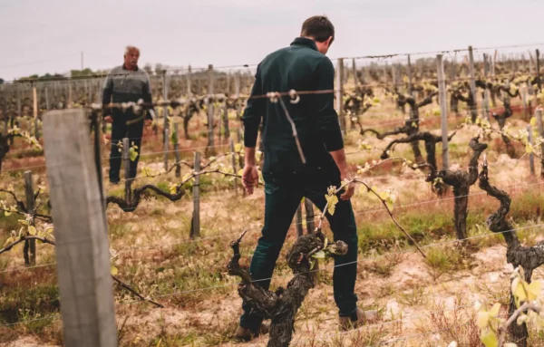 Gilles et Rémi Bergon, Château de Côts