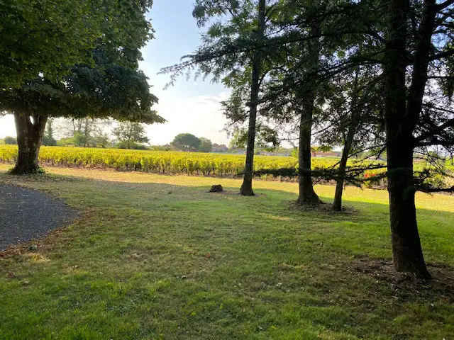 Vignes du Château d'Osmond