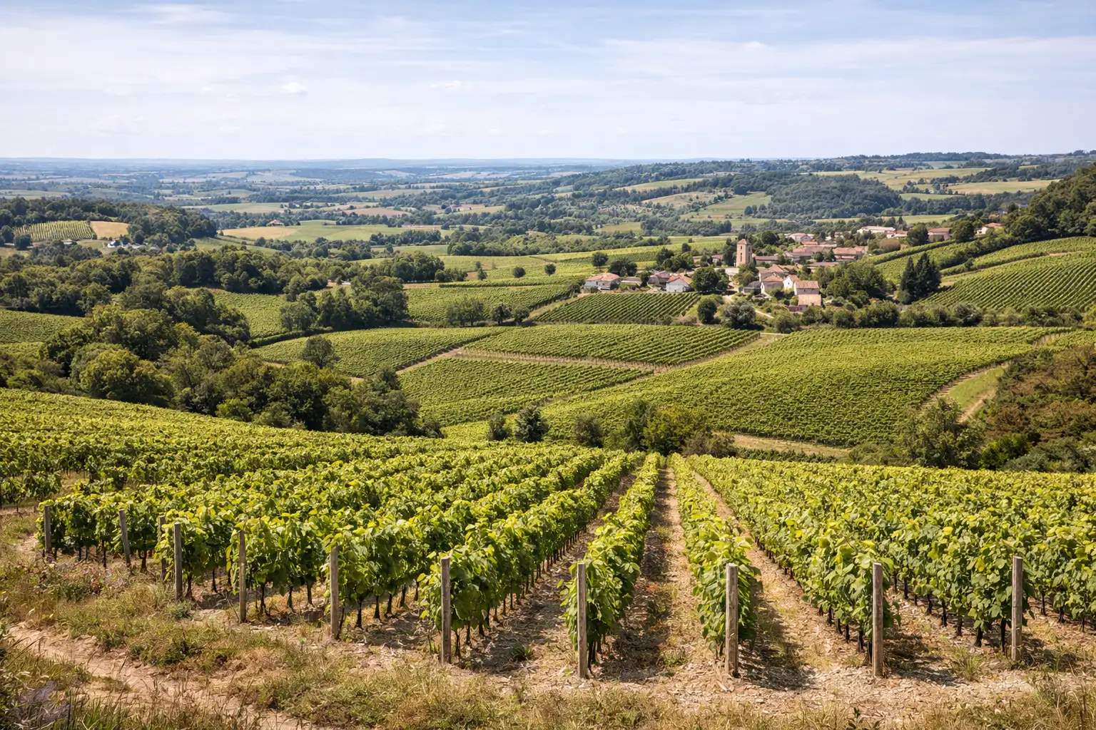 Région viticole Sud-Ouest