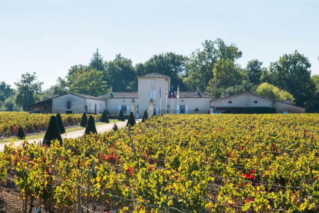Les vignes du Ch&acirc;teau du Grand Bos