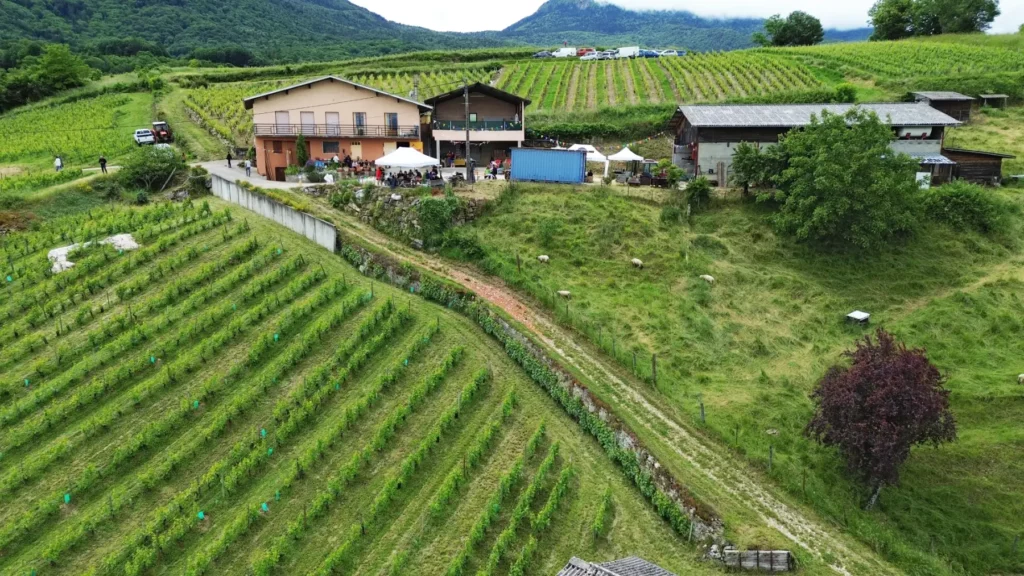 Vue a&eacute;rienne du Domaine des Crocs Blancs