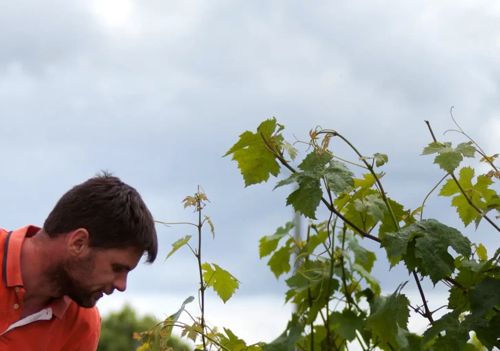 G&eacute;rard Vall&eacute;e au Domaine de la Cotelleraie