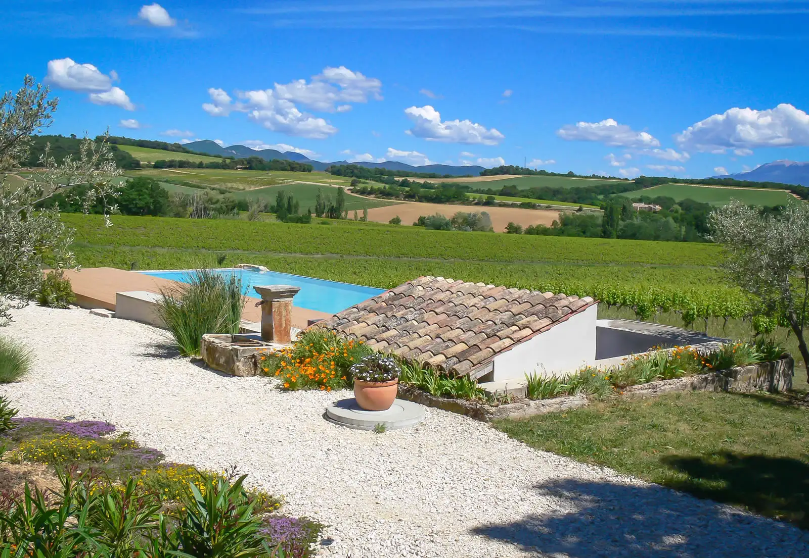 Vignoble du Domaine l’Ancienne École