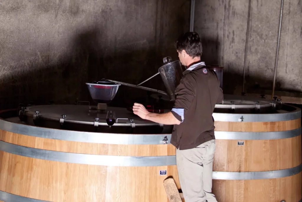 Vinification au chai du Domaine de la Cotelleraie