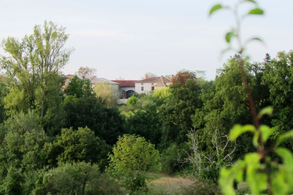 Vue du Domaine de Cantalauze