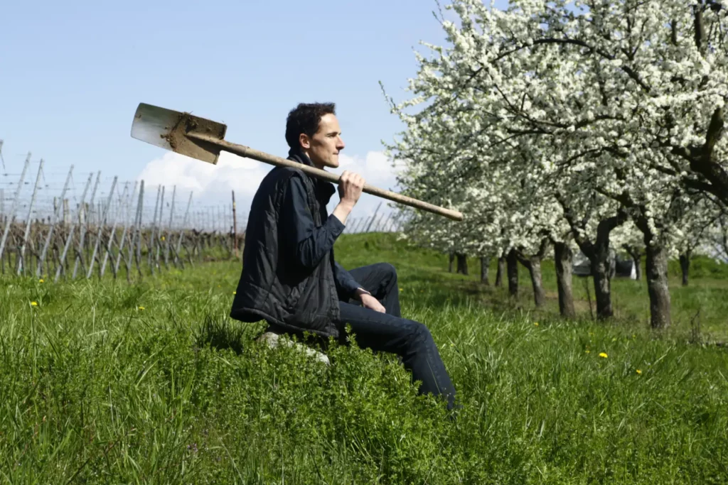 Daniel Ansen dans ses vignes