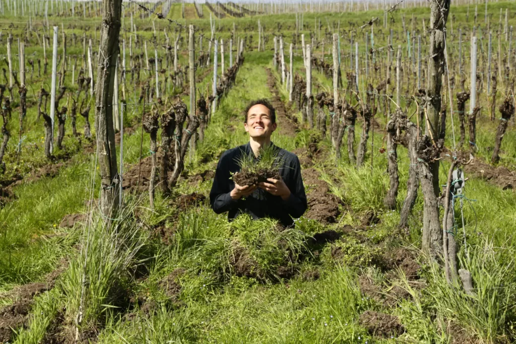 Le vigneron du Domaine Ansen