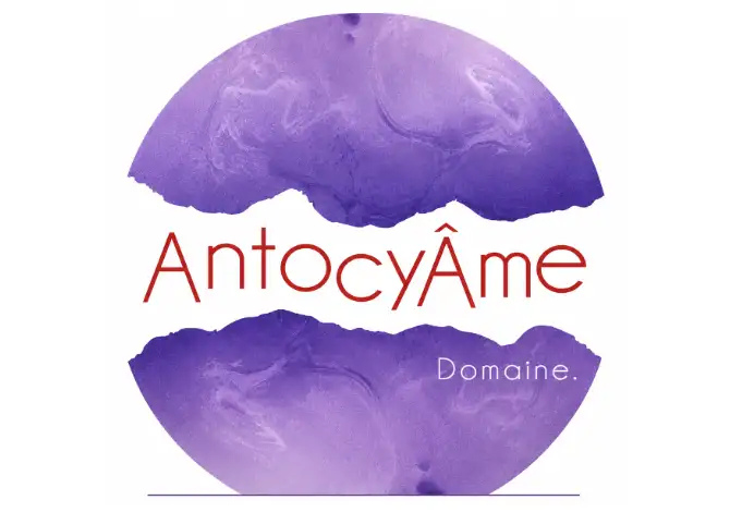 Domaine AntocyÂme
