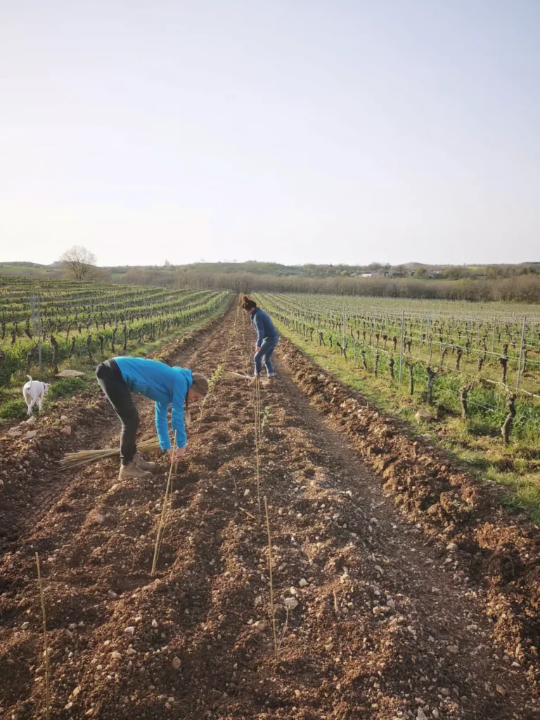 Travail du sol Clos Troteligotte