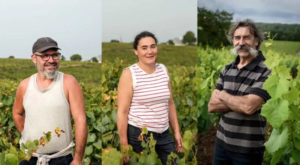 Les vignerons aux Domaines Landron