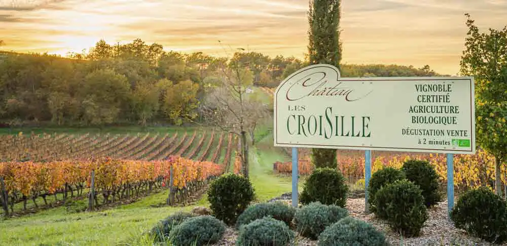 Vignes du ch&acirc;teau des Croisille