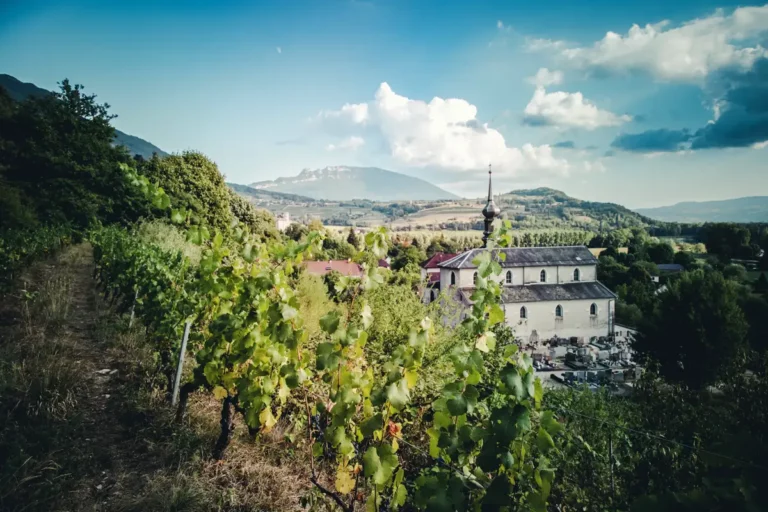Domaine de Lucey
