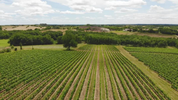 Vignobles Clos Troteligotte