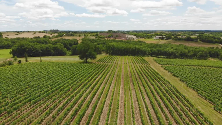 Clos Troteligotte