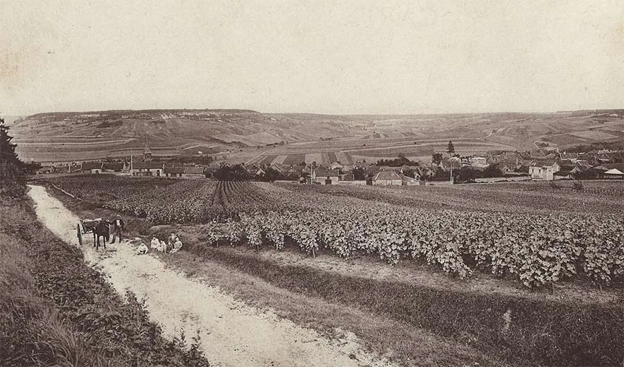 Champagne Denis Frézier - Le village de Monthelon et ses vignes en 1939