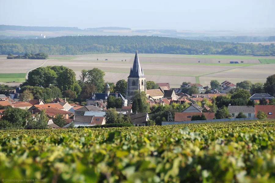 Champagne Francis Boulard & Fille - Le village de Cormicy et son clocher derrière les vignes