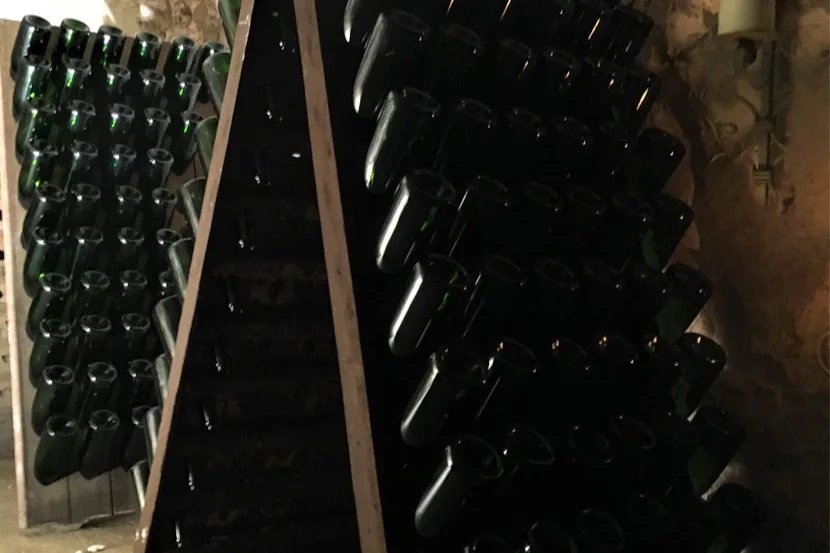 Champagne Lepreux-Penet - Pupitres de remuage chargés de bouteilles dans la cave